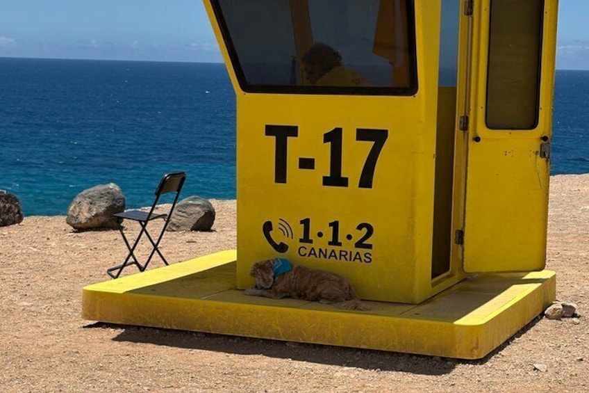 Fuerteventura Exclusive Panorama island Tour | ALL Hotspots 2