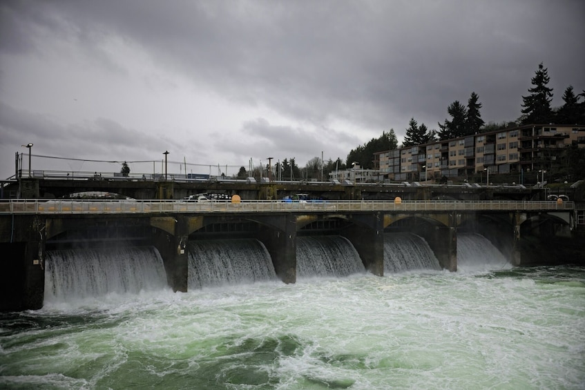 Seattle: Iconic Sights & Hidden Gems Small-Group City Tour Max of 12 4