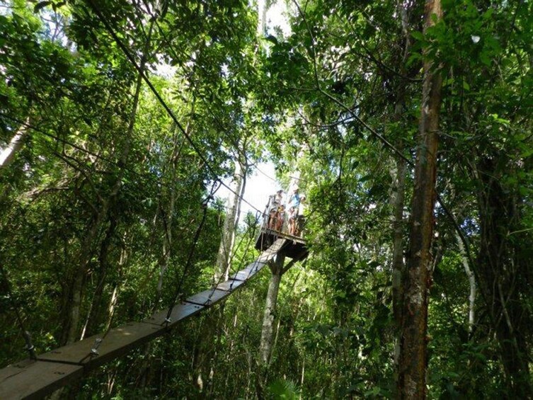 Cenote Swim & Extreme Zipline Adventure 3