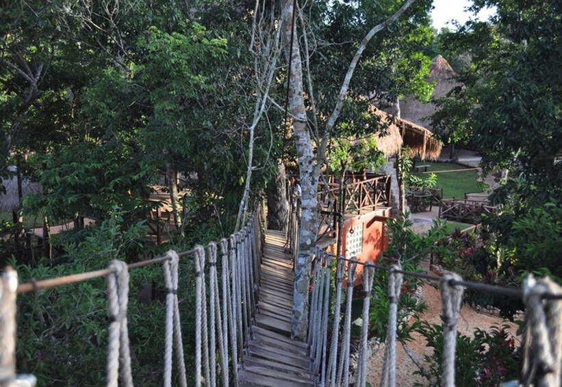Cenote Swim & Extreme Zipline Adventure 2