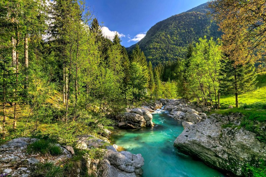 A clear mountain stream surrounded by dense forest and rocky terrain. 4