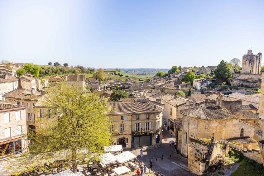 Picture 5 for Activity Saint-Émilion Wine Tour - Afternoon 2 Wineries & Tastings 2