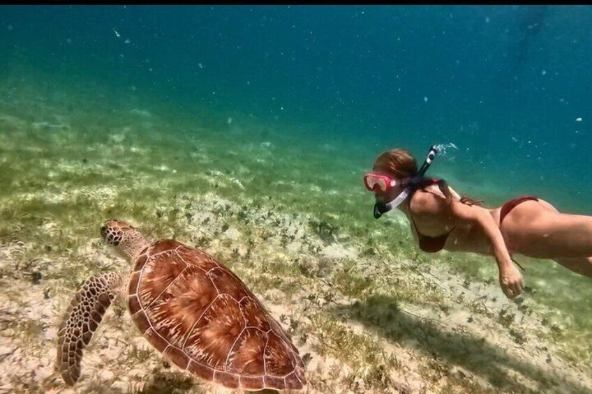 Island & Snorkeling Tour – Smuggler + Cane Garden Bay 2