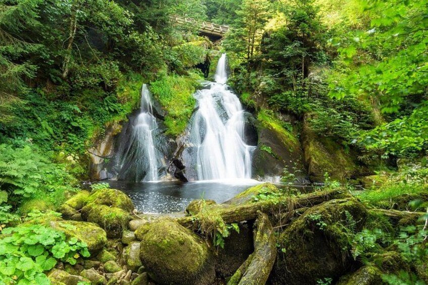 Private day trip from Basel to the Black forest and back 2