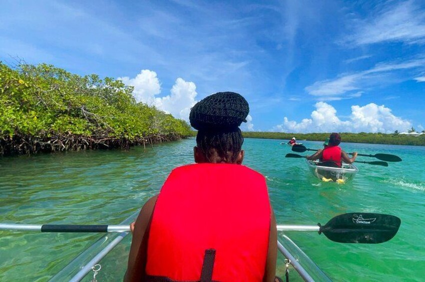 A person kayaking on clear turquoise water with mangrove trees on one side. 1