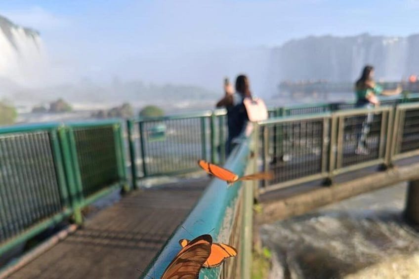A bridge with a railing, a person taking a photo, and a waterfall in the background. 3