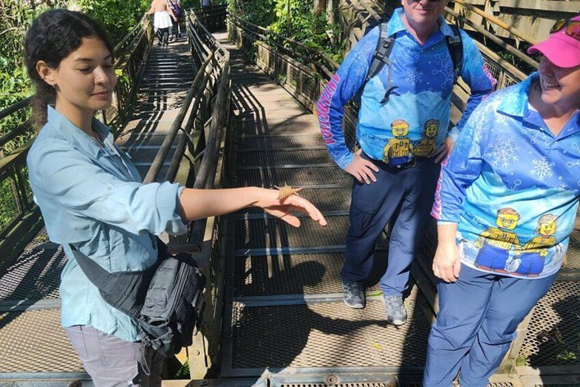 A person pointing at a bridge with a metal railing. 4