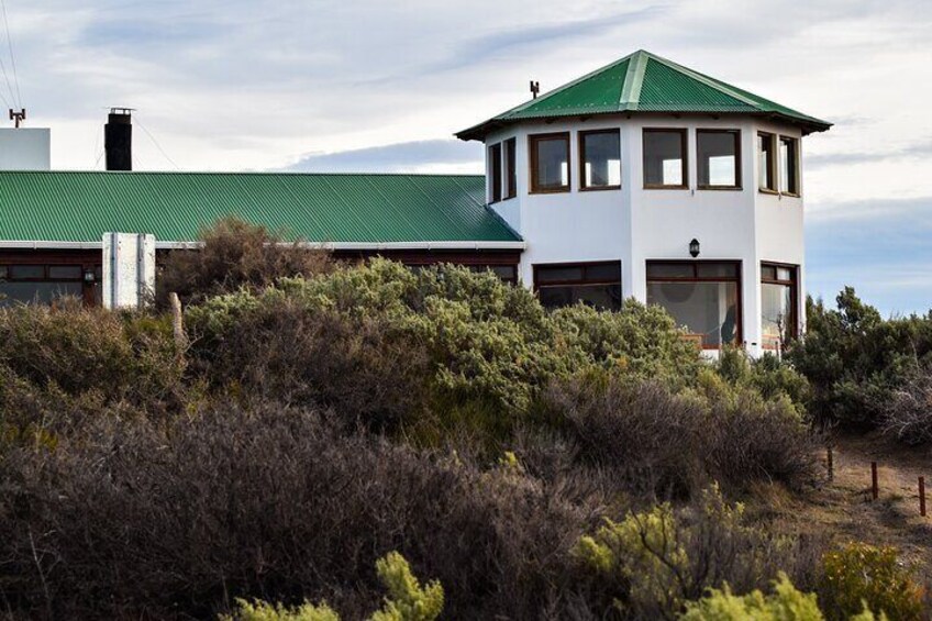 Excursion to the Valdés Peninsula from Puerto Madryn