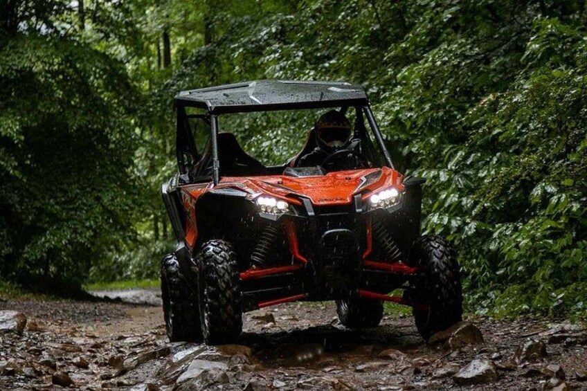 A red ATV on a muddy path surrounded by dense green foliage. 3