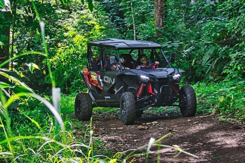 A black off-road vehicle with red accents driving on a dirt path through a dense forest. 1