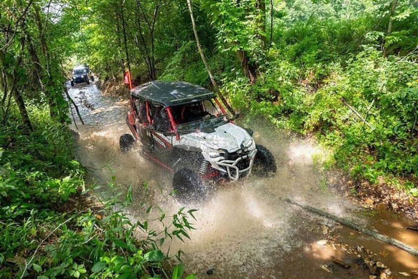 Experience the thrill of navigating through Panama's dense jungle on an ATV. Enjoy the excitement of off-road driving and scenic views. 4