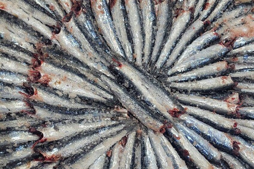 Anchovy barrel 5