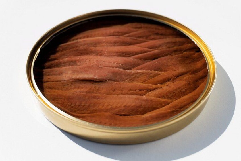 Visit and tasting 5Ñ de Santoña | BEST ANCHOVIES SANTOÑA 2026 2