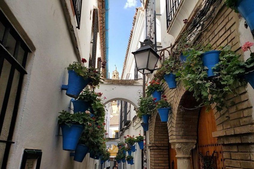 Un callejón estrecho con macetas azules colgantes y una puerta de madera. 2