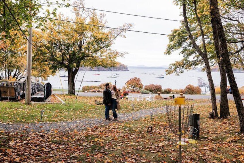 En person promenerar längs en stig i en park med höstlöv, en sjö och båtar i bakgrunden. 4