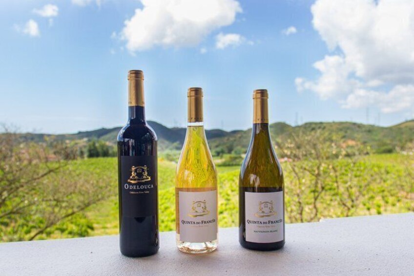 Three wine bottles on a ledge with a vineyard in the background. 1