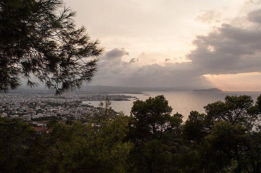 A coastal cityscape with a view of the sea and distant land, surrounded by trees. 3