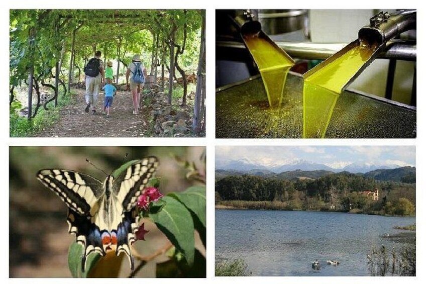 A family walking on a path, a butterfly on a flower, a honey extractor, and a lake with mountains. 1