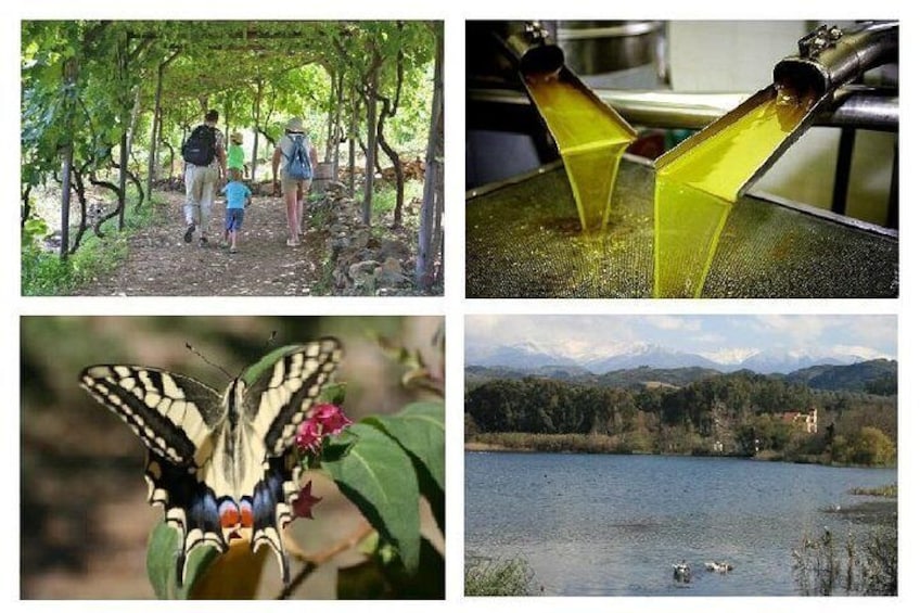 A family walking in a park, a butterfly on a flower, and a lake with mountains in the background. 1