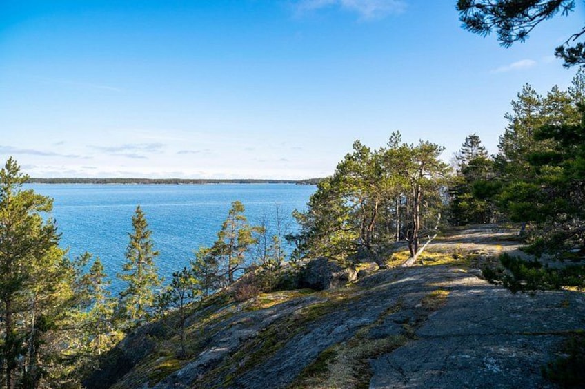 A rocky shoreline with trees and a clear blue sky. 4