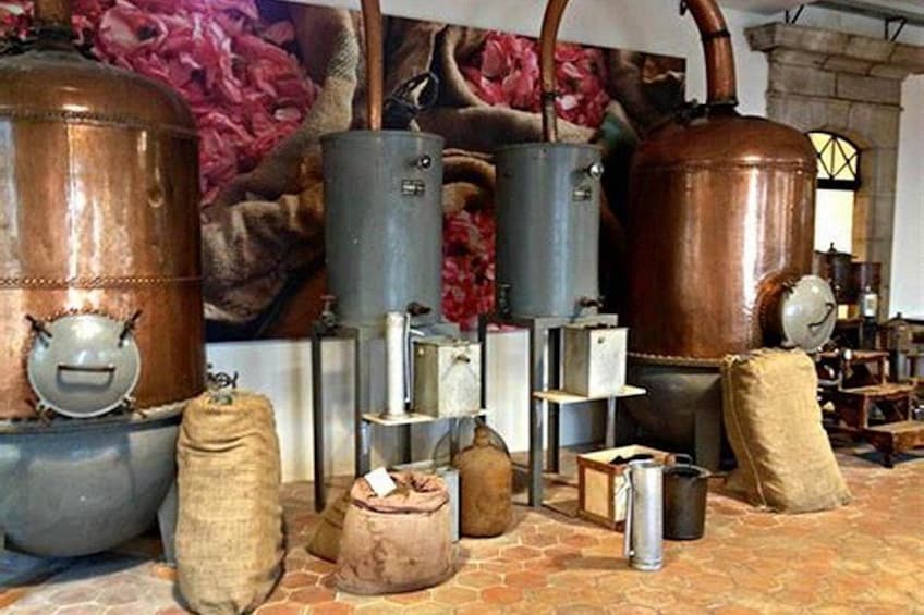 Local Wine Tasting , Grasse perfumerie , and Provençal villages 4