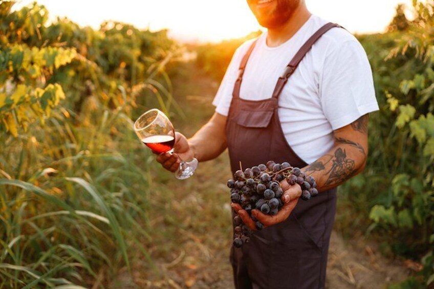 A person holding a glass of red wine and a bunch of grapes in a vineyard. 2