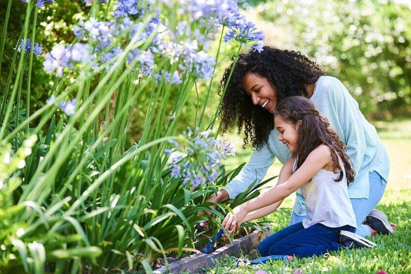 A person and a child gardening in a lush green area with tall plants and flowers. 1
