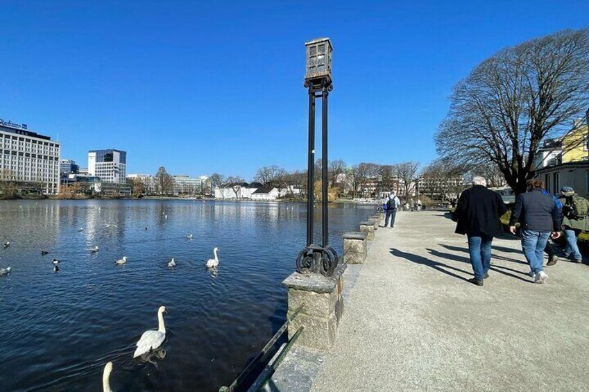 A calm river with swans, a pedestrian walkway, and buildings in the background. 2