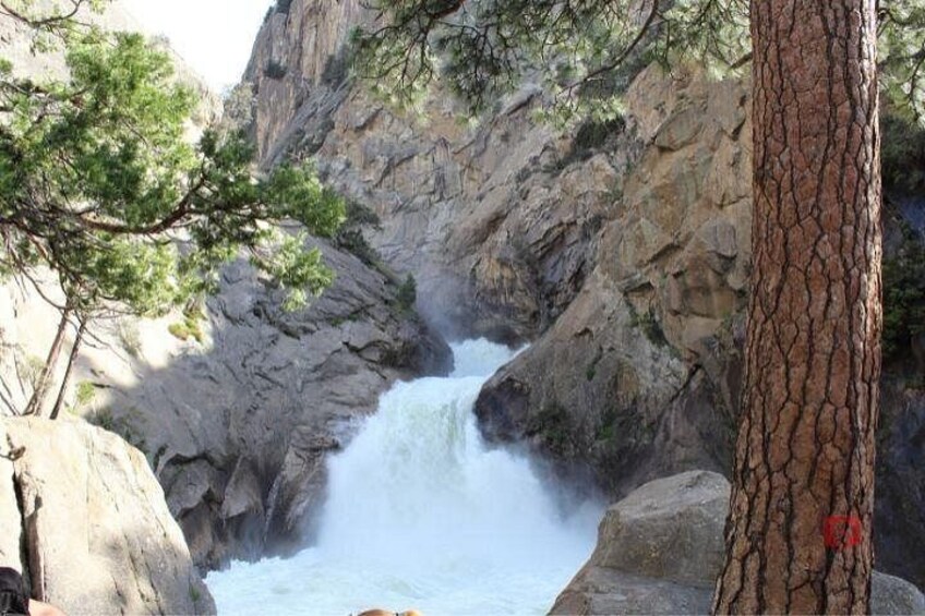 Self-Guided Audio Driving Tour in Sequoia and Kings Canyon 3
