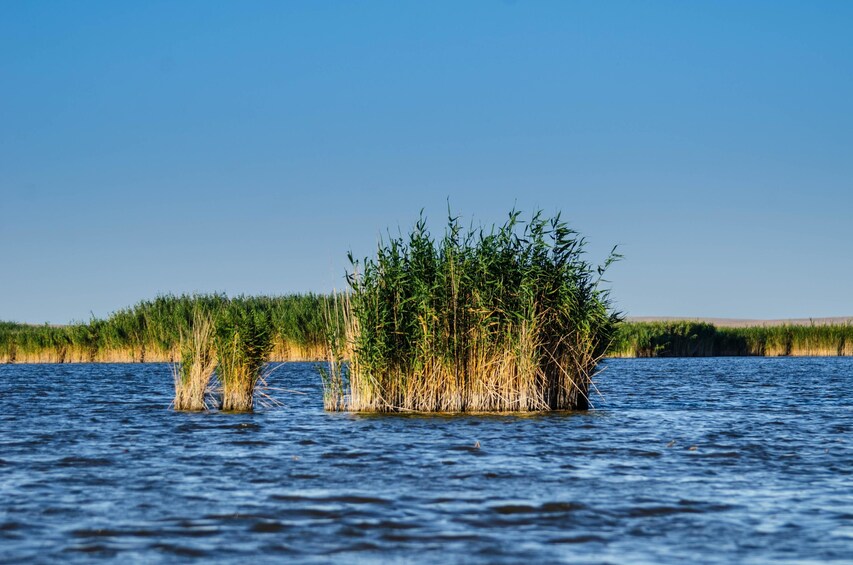 Day Trip to Danube Delta from Bucharest 3