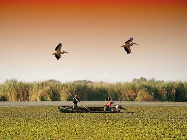 Day Trip to Danube Delta from Bucharest 2