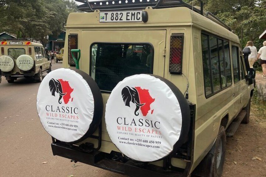2-Day Zanzibar–Mikumi Private Flight Safari+masai+Night game optn 3