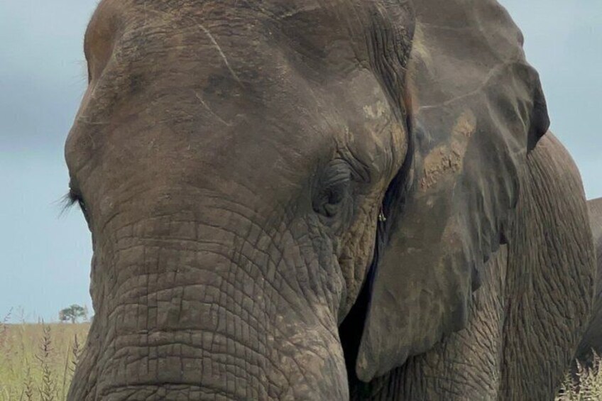2-Day Zanzibar–Mikumi Private Flight Safari+masai+Night game optn 1