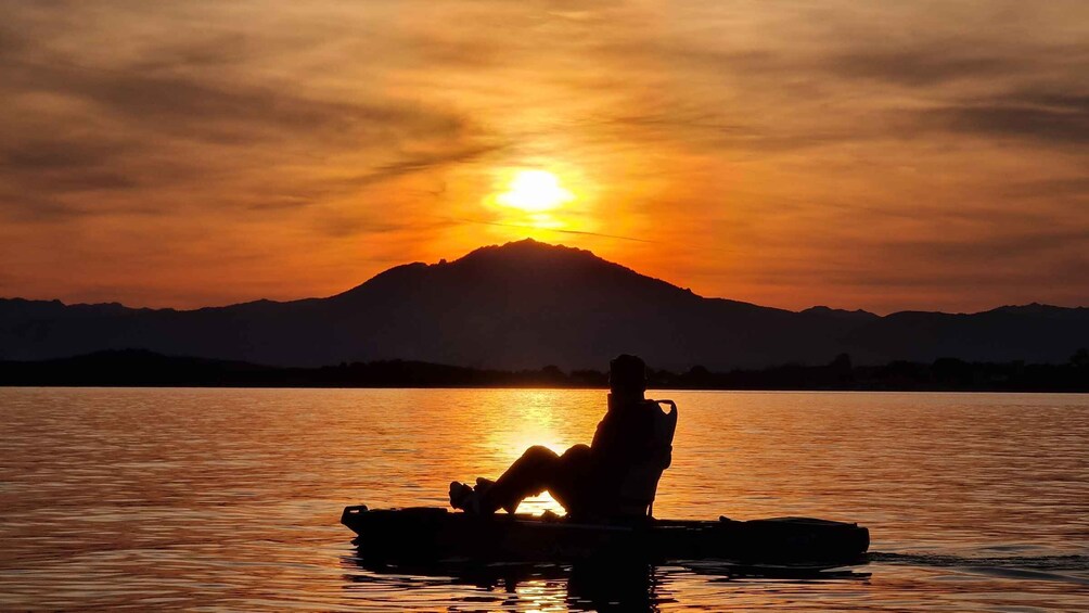 Picture 4 for Activity Kayak Tour with Dolphins - Aperitif - Transfer included 4