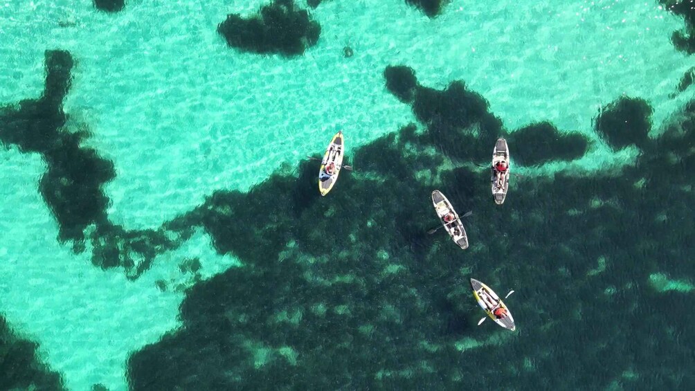 Four kayaks on turquoise water with visible seaweed. 3