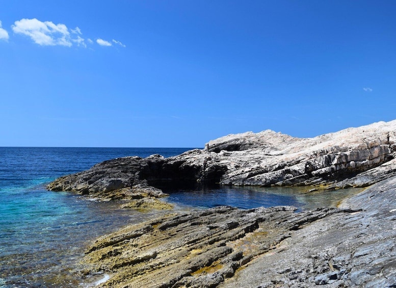 Picture 14 for Activity Zadar:Best of Dugi Otok - Shipwreck, Sandy Beach & Sea Cave 3