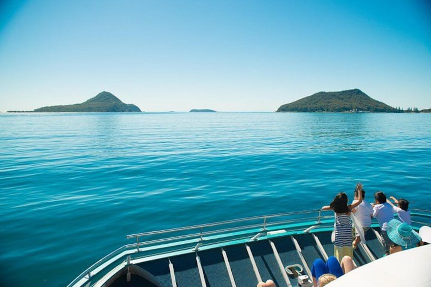 Port Stephens: Dolphin Discovery Cruise 3