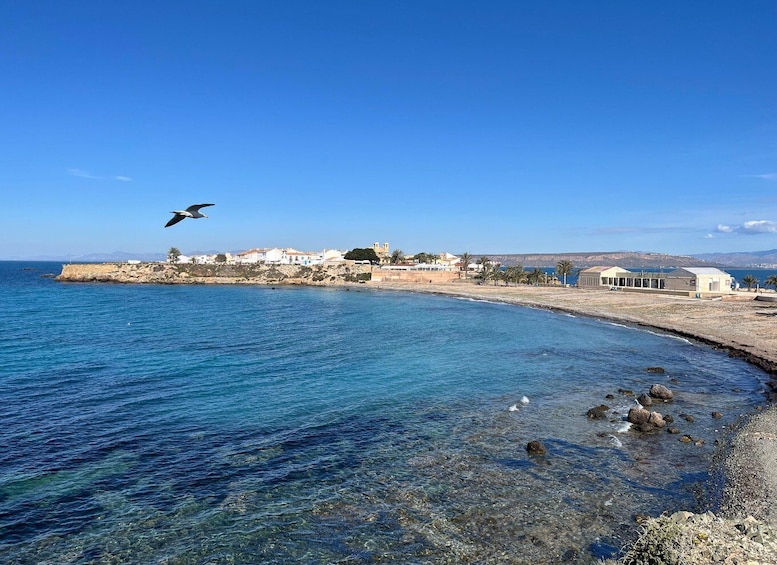 Escena costera con aguas azules cristalinas, costa rocosa y edificios a lo largo de la orilla. 2