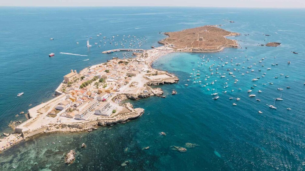 Picture 15 for Activity From Valencia: Tabarca Island & Santa Pola Day Trip 3