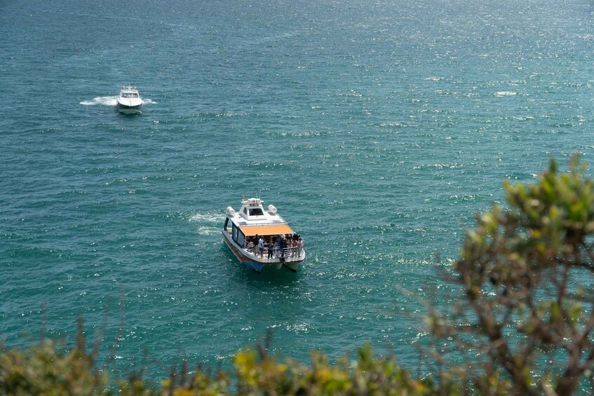 Picture 10 for Activity From Lagos: Benagil Caves Catamaran - Family Way 4