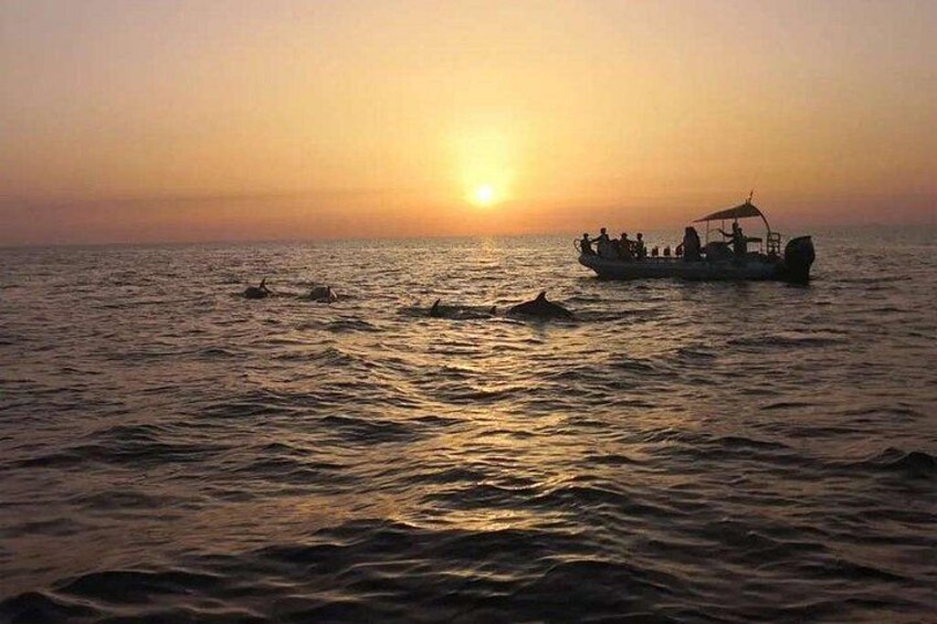 A sunset over the ocean with a boat and dolphins. 2