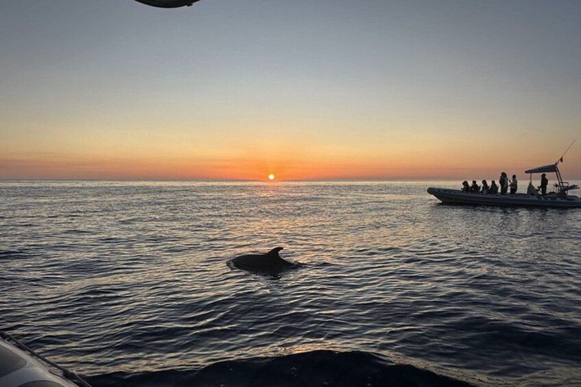 A sunset over the ocean with a boat and a dolphin in the water. 5