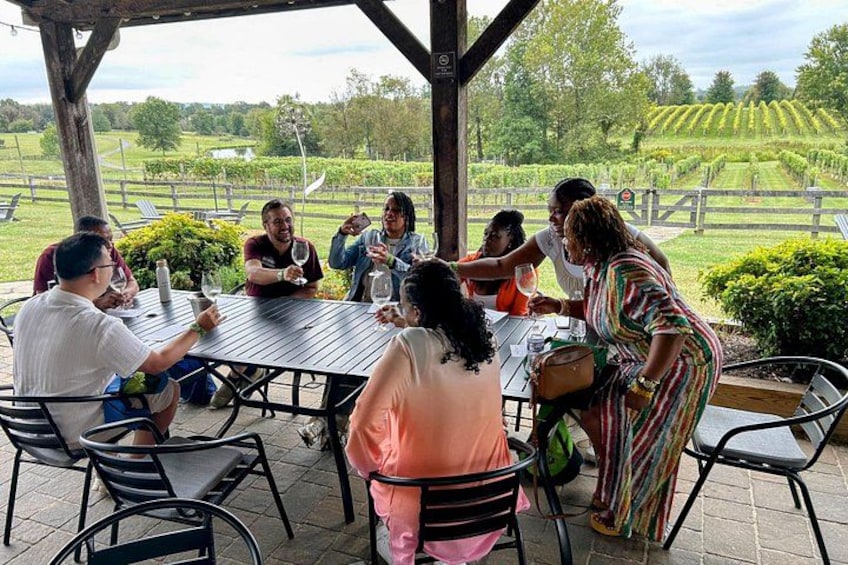 Un grupo de personas sentadas en una mesa al aire libre con un viñedo de fondo. 1