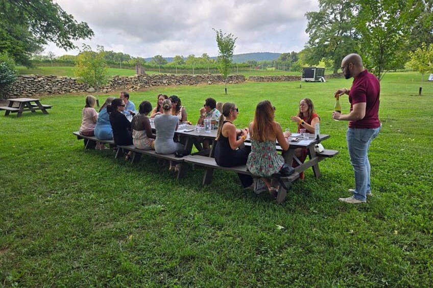 Loudoun County 3-Winery Tour from DC Metro or Leesburg 2