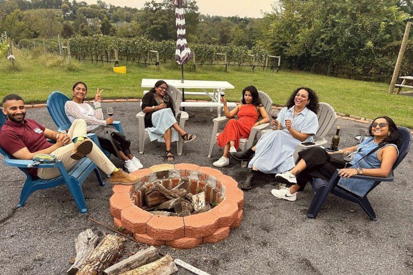 Loudoun County 3-Winery Tour from DC Metro or Leesburg 2