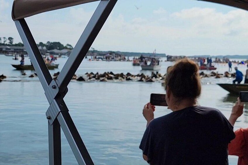 A person taking a photo with a smartphone, a body of water, and several boats in the background. 4
