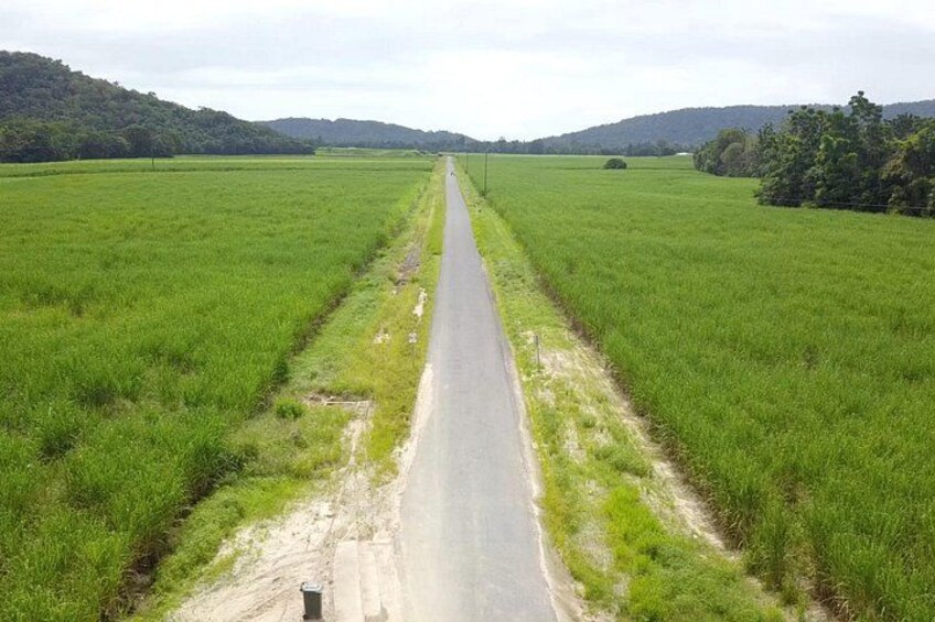 Mossman Highlights eBike Tour 4