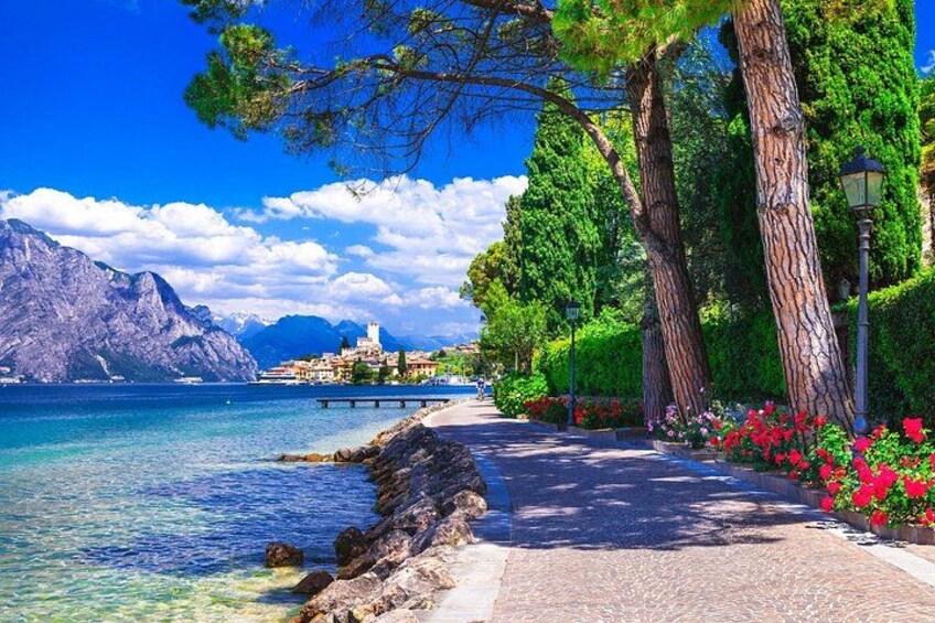 A coastal walkway with trees, flowers, and a mountain in the background. 3