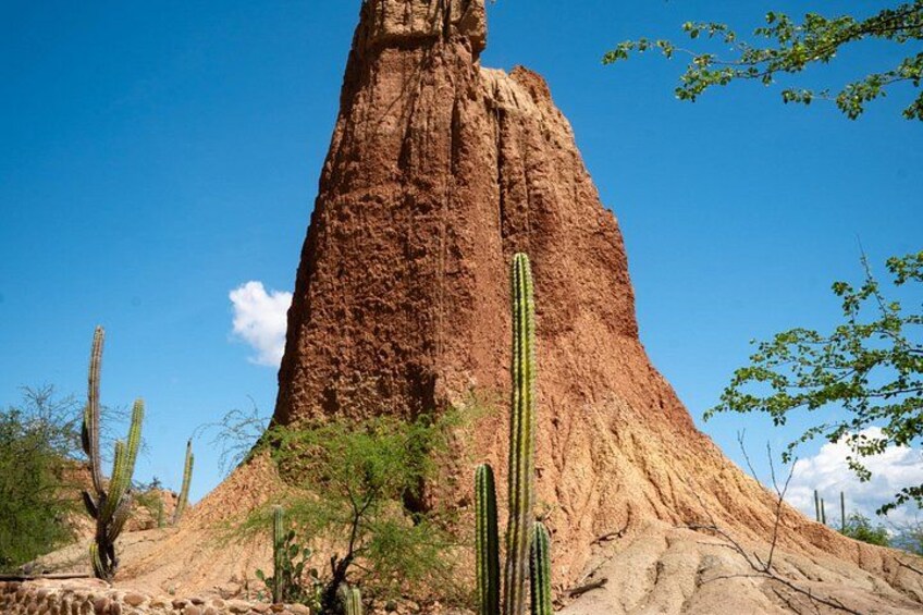 A large red rock formation with cacti and trees in a desert landscape. 1