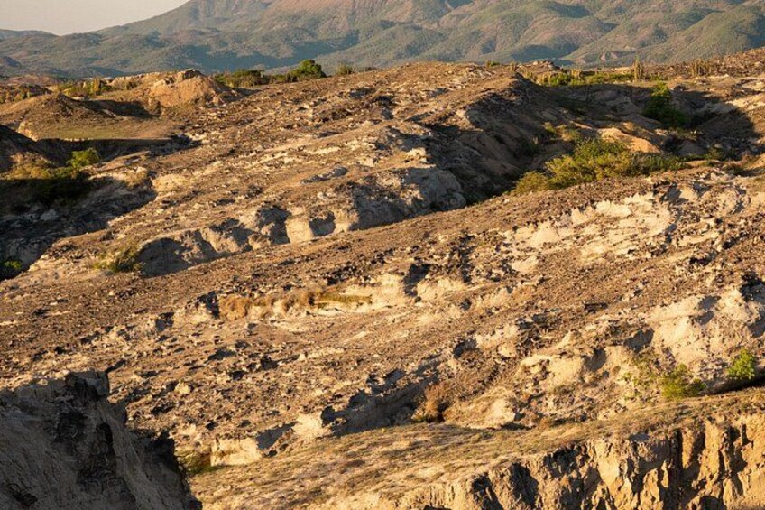 A rugged, rocky landscape with sparse vegetation and distant mountains. 4